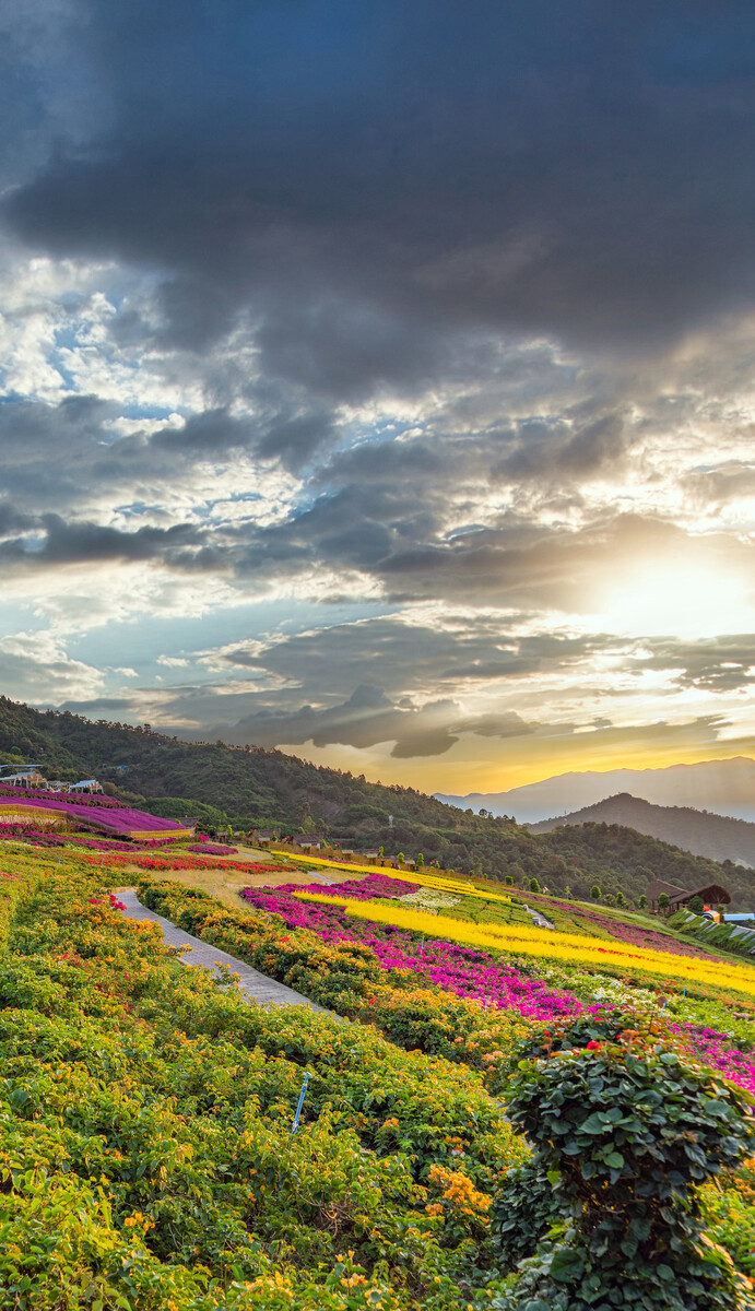 深圳,攀枝花,城市建筑,景觀風光。