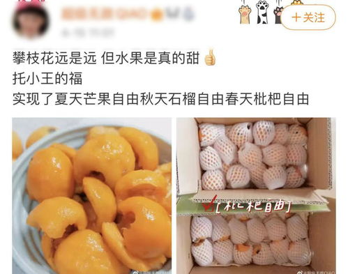 你以為的進口熱帶水果，可能都來自'四川小三亞'攀枝花